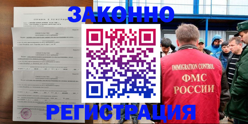 прописка поиск в Котово